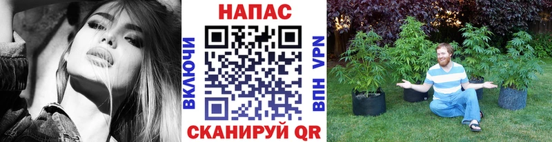Где можно купить наркотики Сертолово Гашиш Канабис АМФЕТАМИН Мефедрон