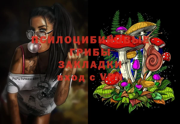 метамфетамин Бикин