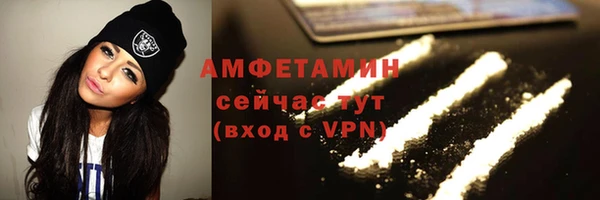 индика Нея