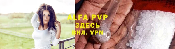 индика Нея