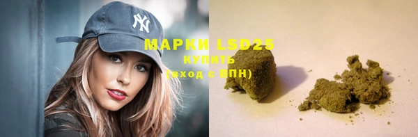индика Нея