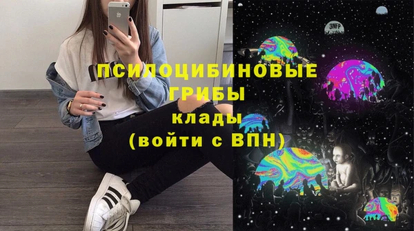 не бодяженный Билибино