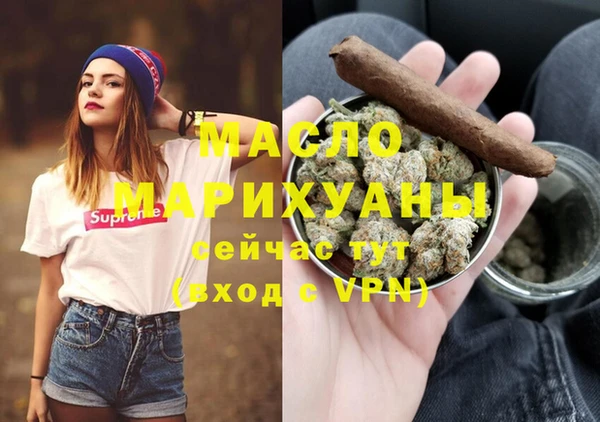 индика Нея