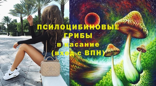 индика Нея