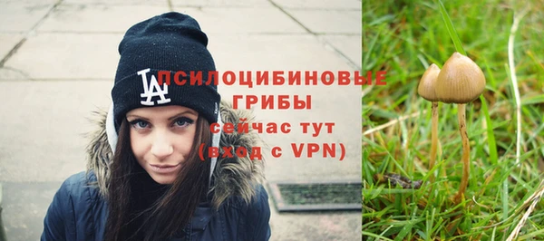 шишки Нефтегорск