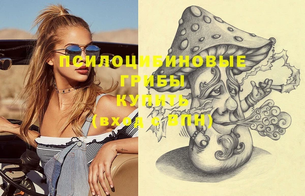 шишки Нефтегорск