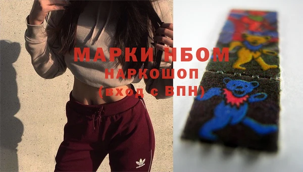 индика Нея
