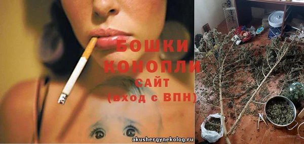 шишки Нефтегорск