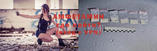 индика Нея