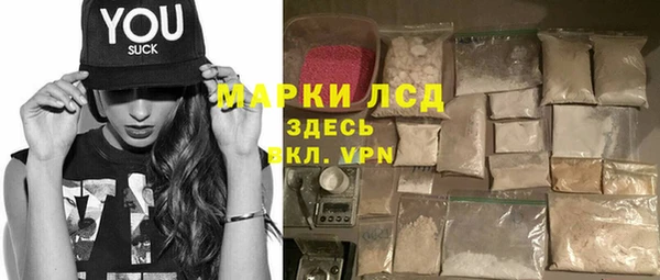 индика Нея